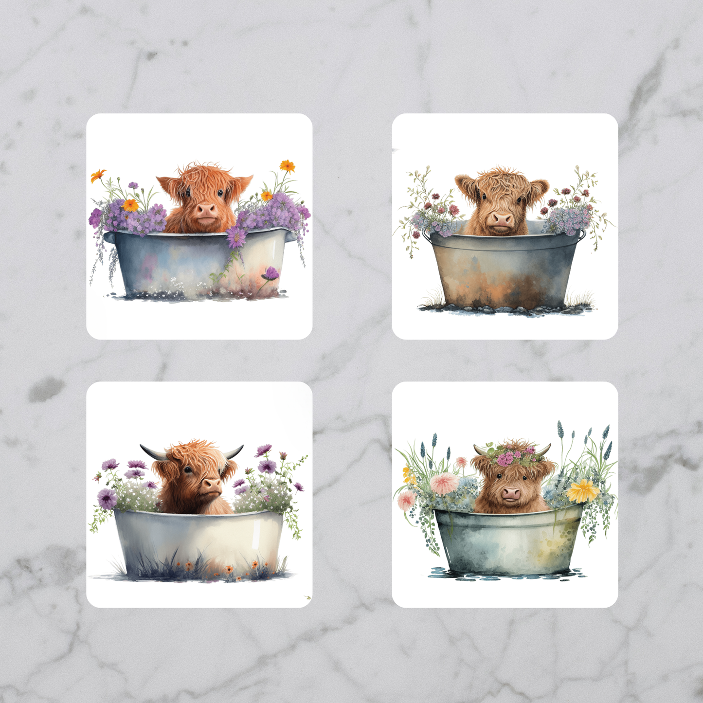 Highland Cow Coaster Set 4