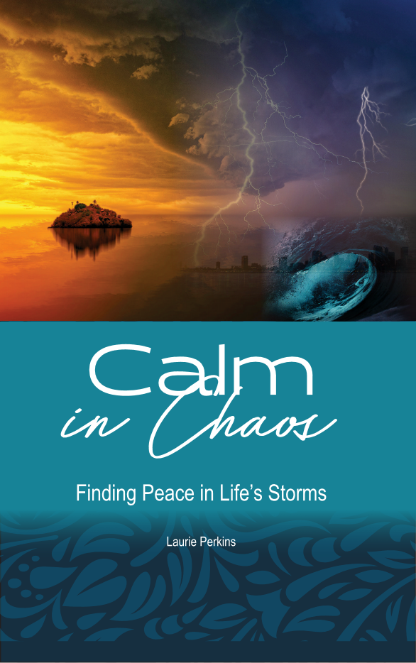 Calm in the Chaos E-Book