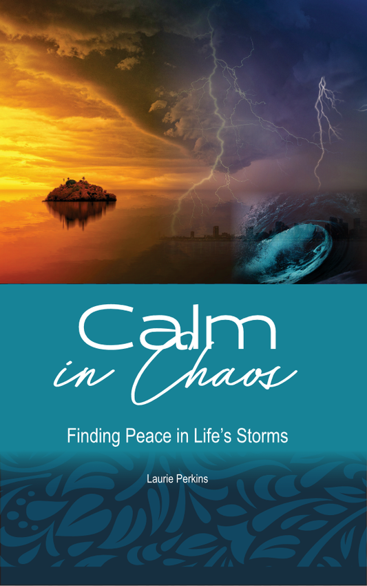 Calm in the Chaos E-Book