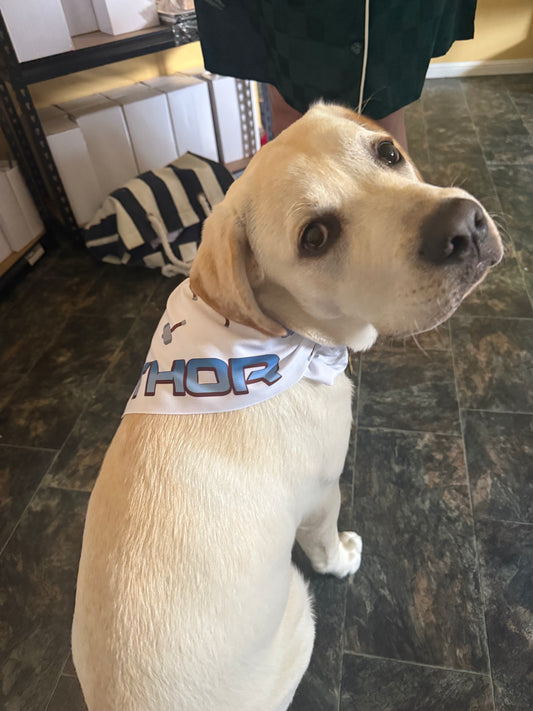 Custom Dog Bandana